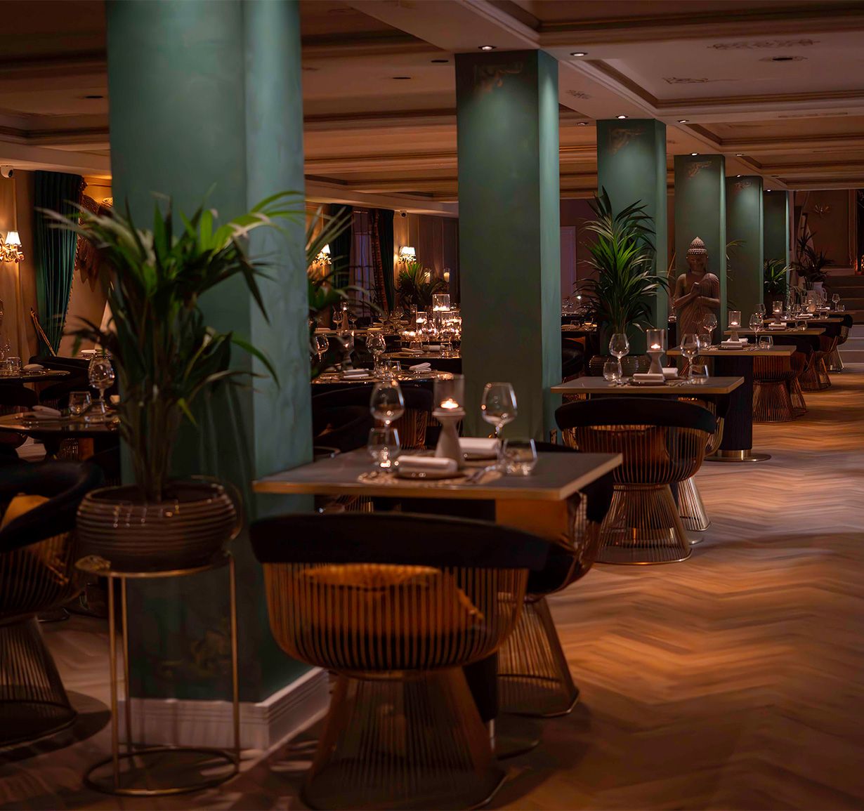 Fine Dining Experience at Varanasi